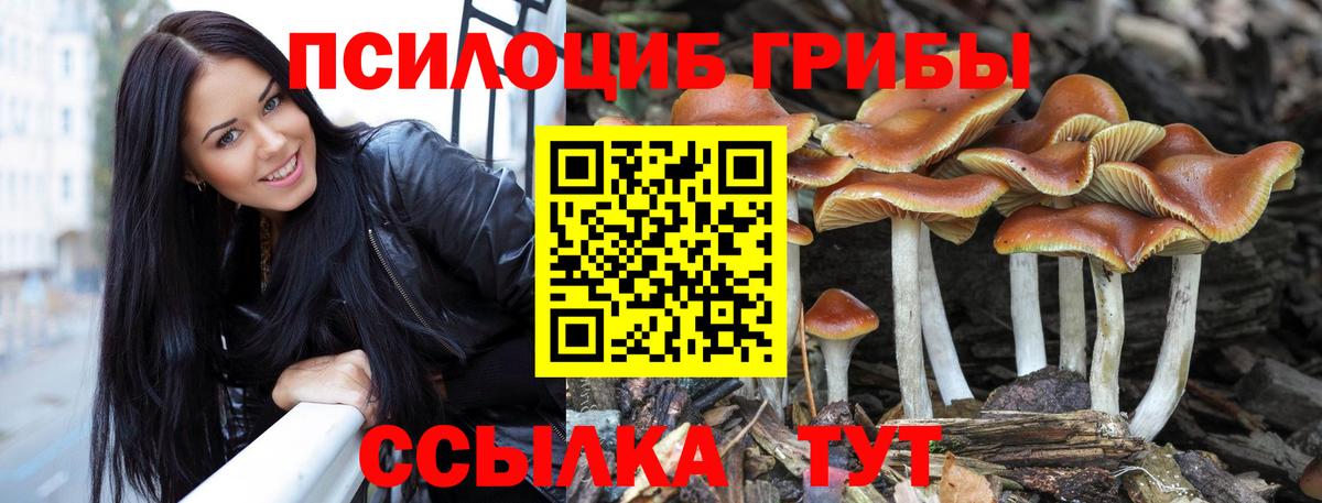 Псилоцибиновые грибы MAGIC MUSHROOMS Кимры